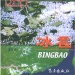 大堂区好玩的地方